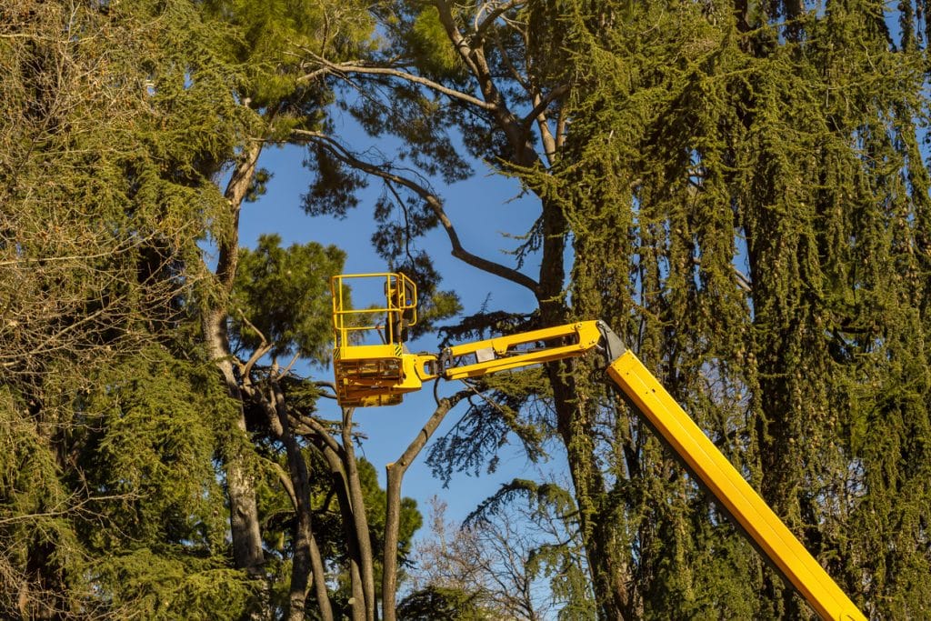 gardening machinery for pruning trees